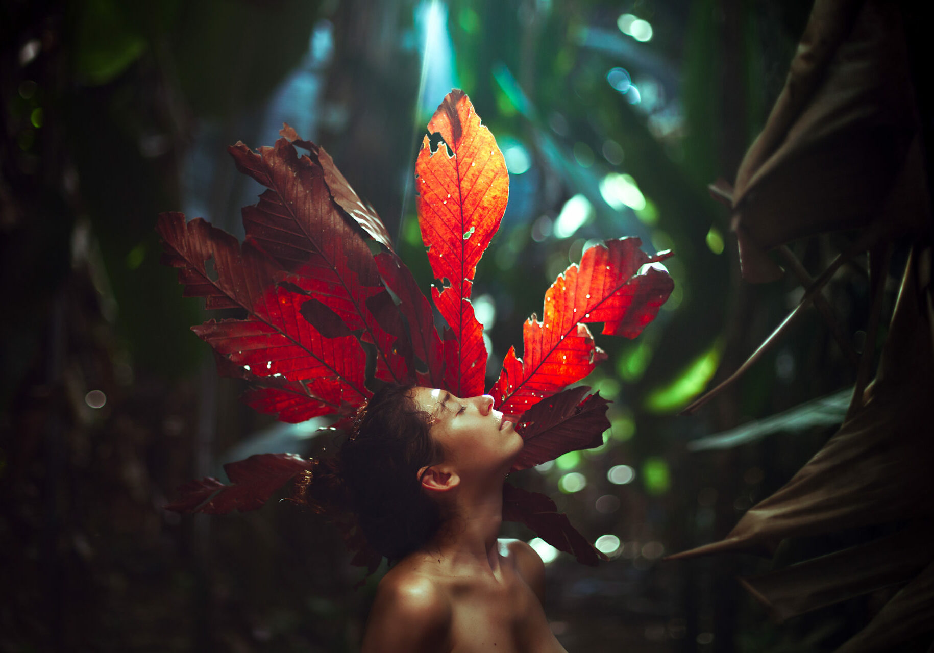 Nature(s) ©Julie Cherki